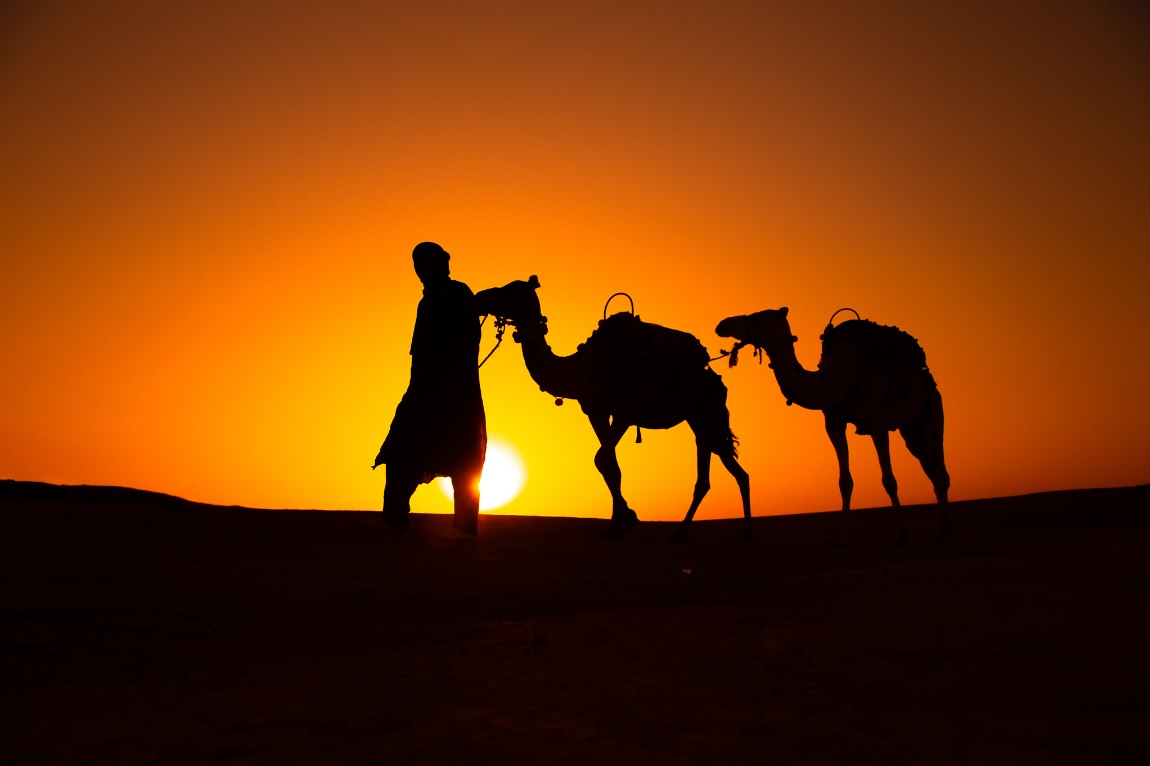Camel Ride in the Agafay Desert from Marrakech