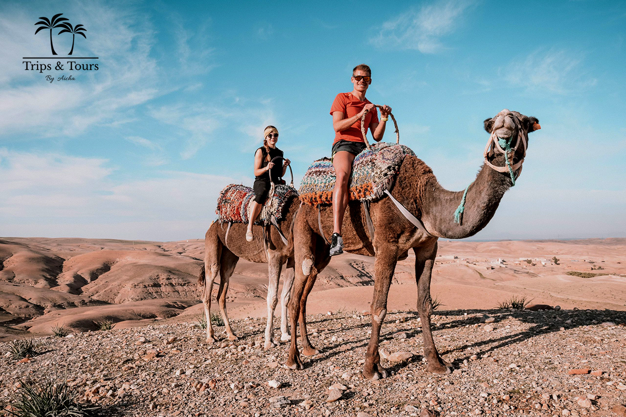 Camel Ride in the Agafay Desert from Marrakech