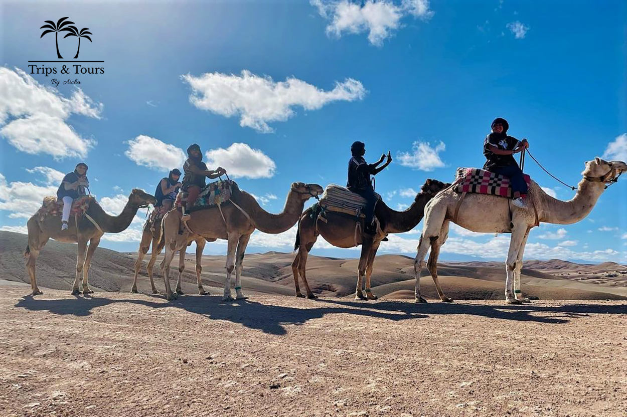 Camel Ride in the Agafay Desert from Marrakech