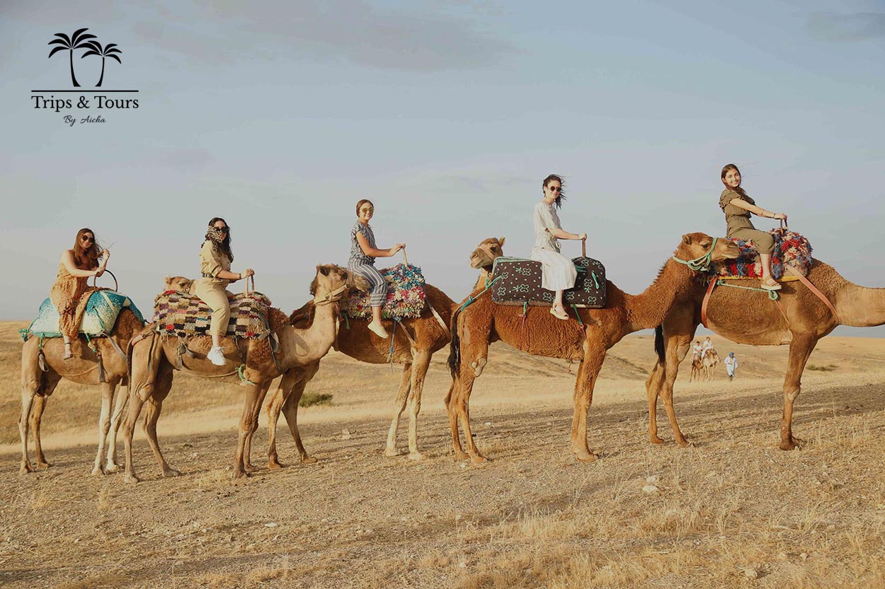 Camel Ride in the Agafay Desert from Marrakech