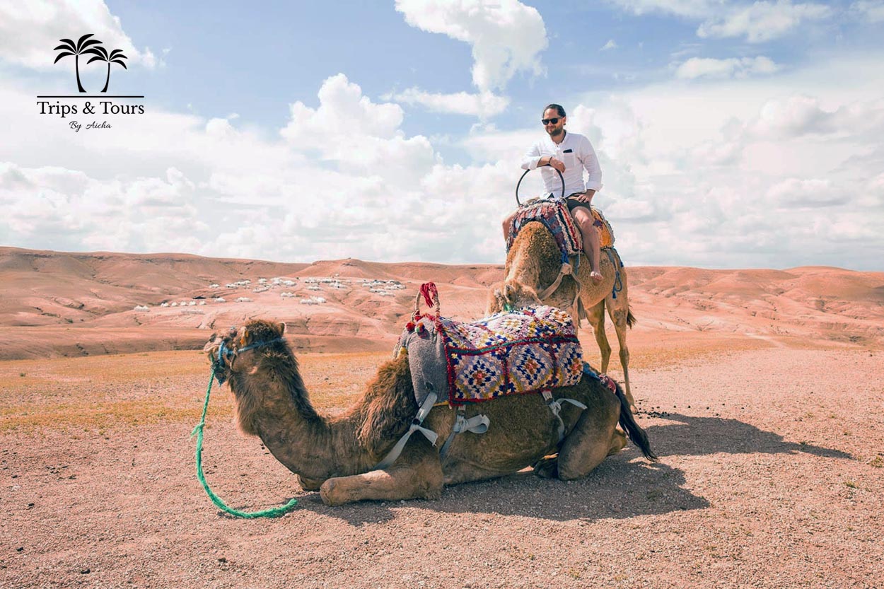 Camel Ride in the Agafay Desert from Marrakech