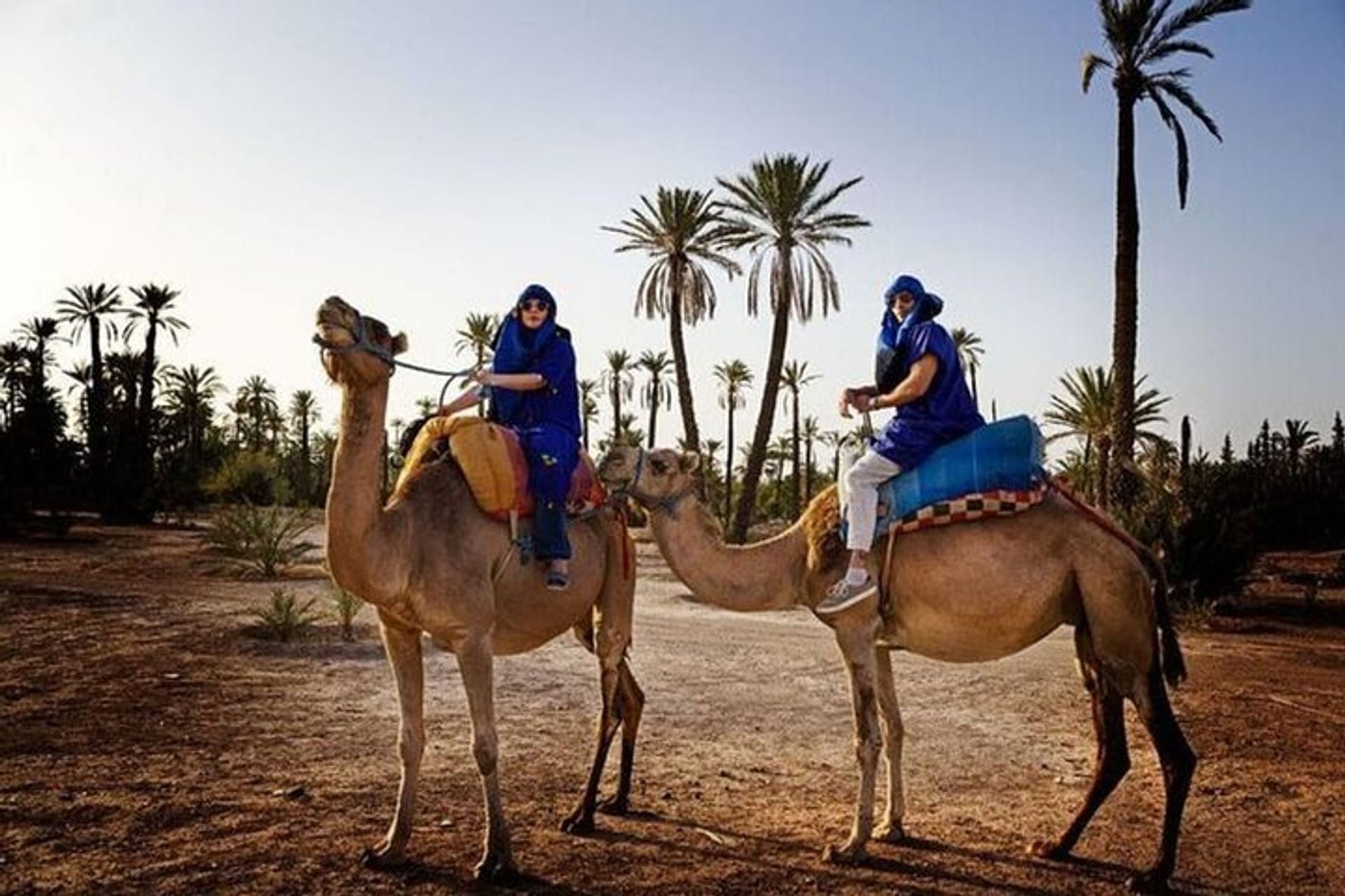 Camel Ride in the Palmeraie of Marrakech