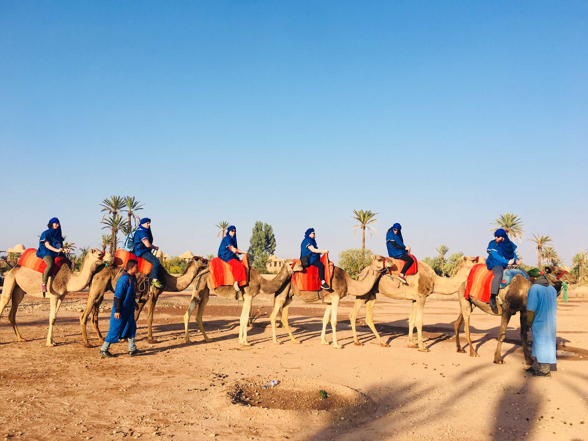 Camel Ride in the Palmeraie of Marrakech