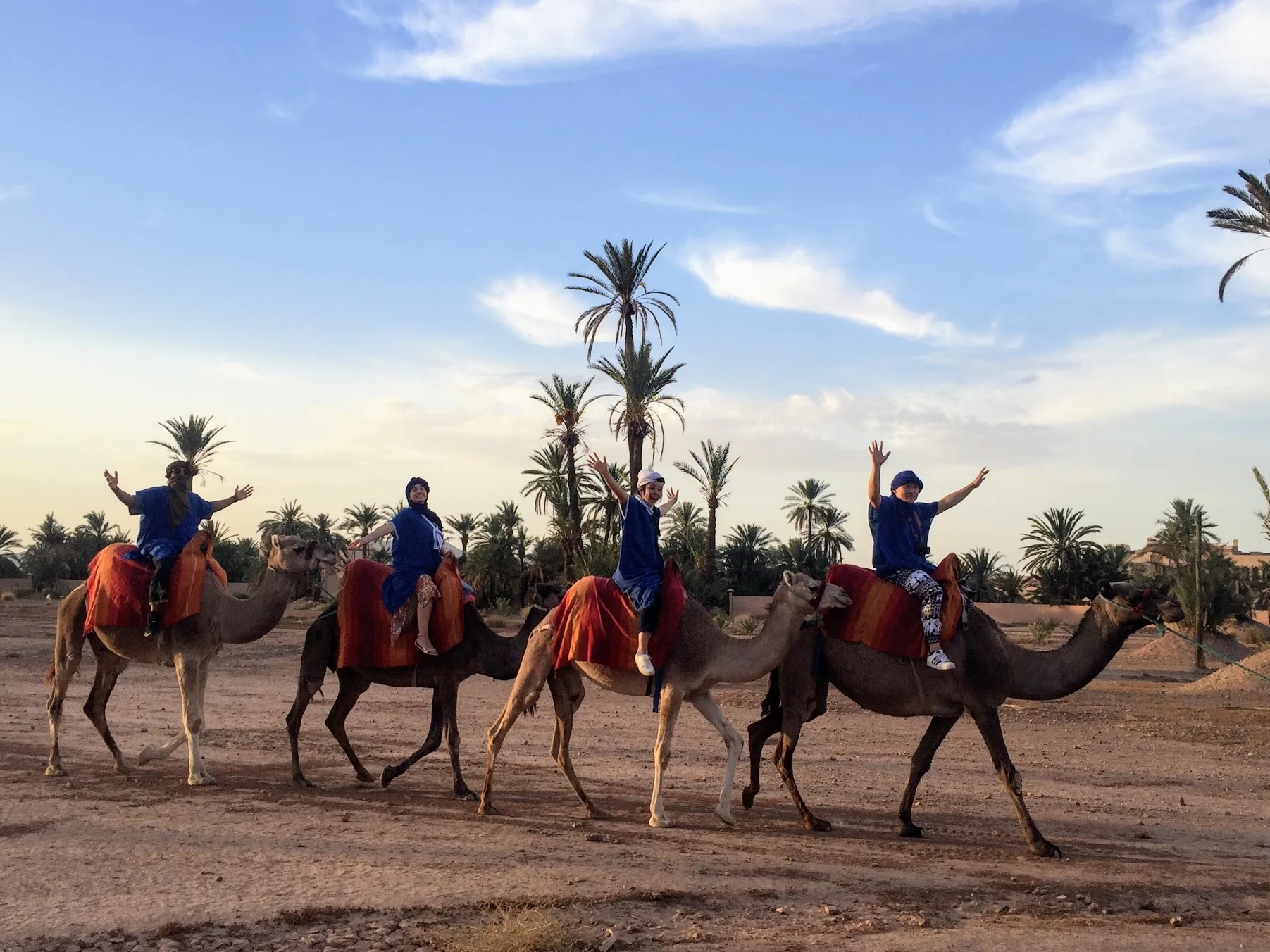 Camel Ride in the Palmeraie of Marrakech