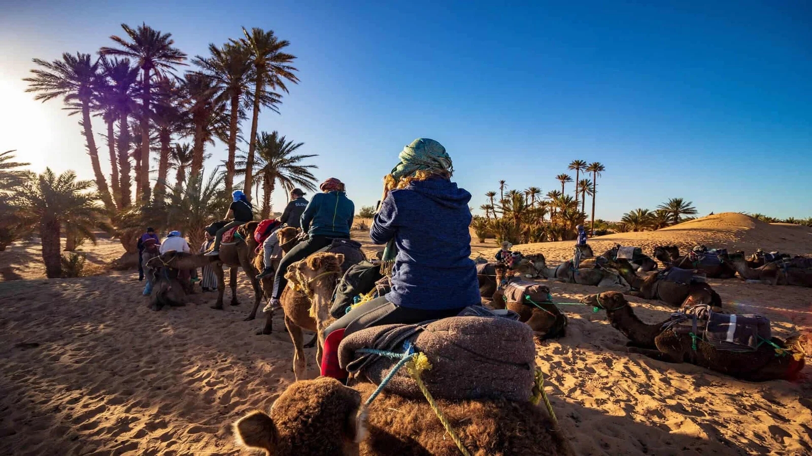 Camel Ride in the Palmeraie of Marrakech