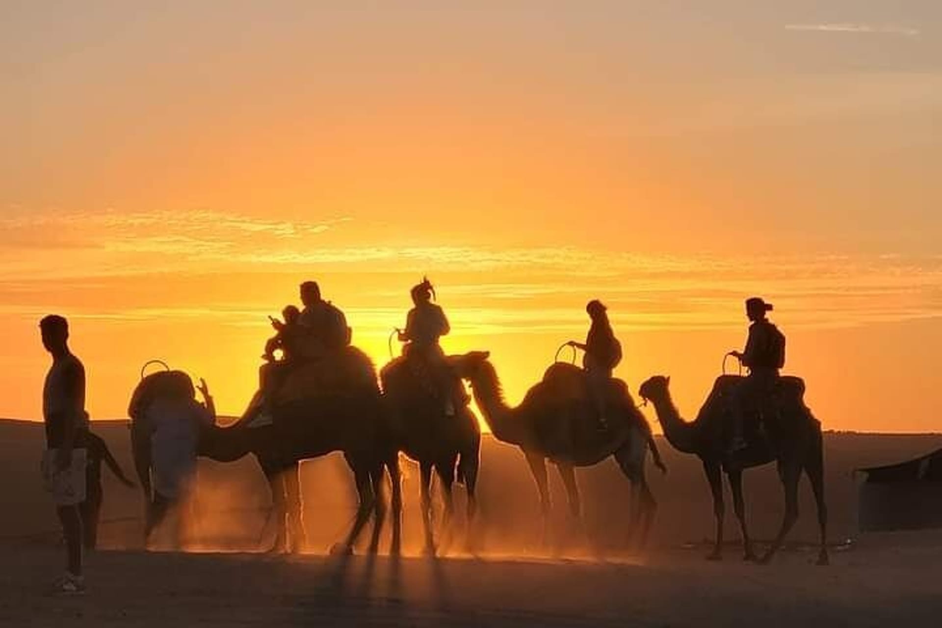 Agafay Camel Ride at Sunset + Dinner Show (Luxury Camp)
