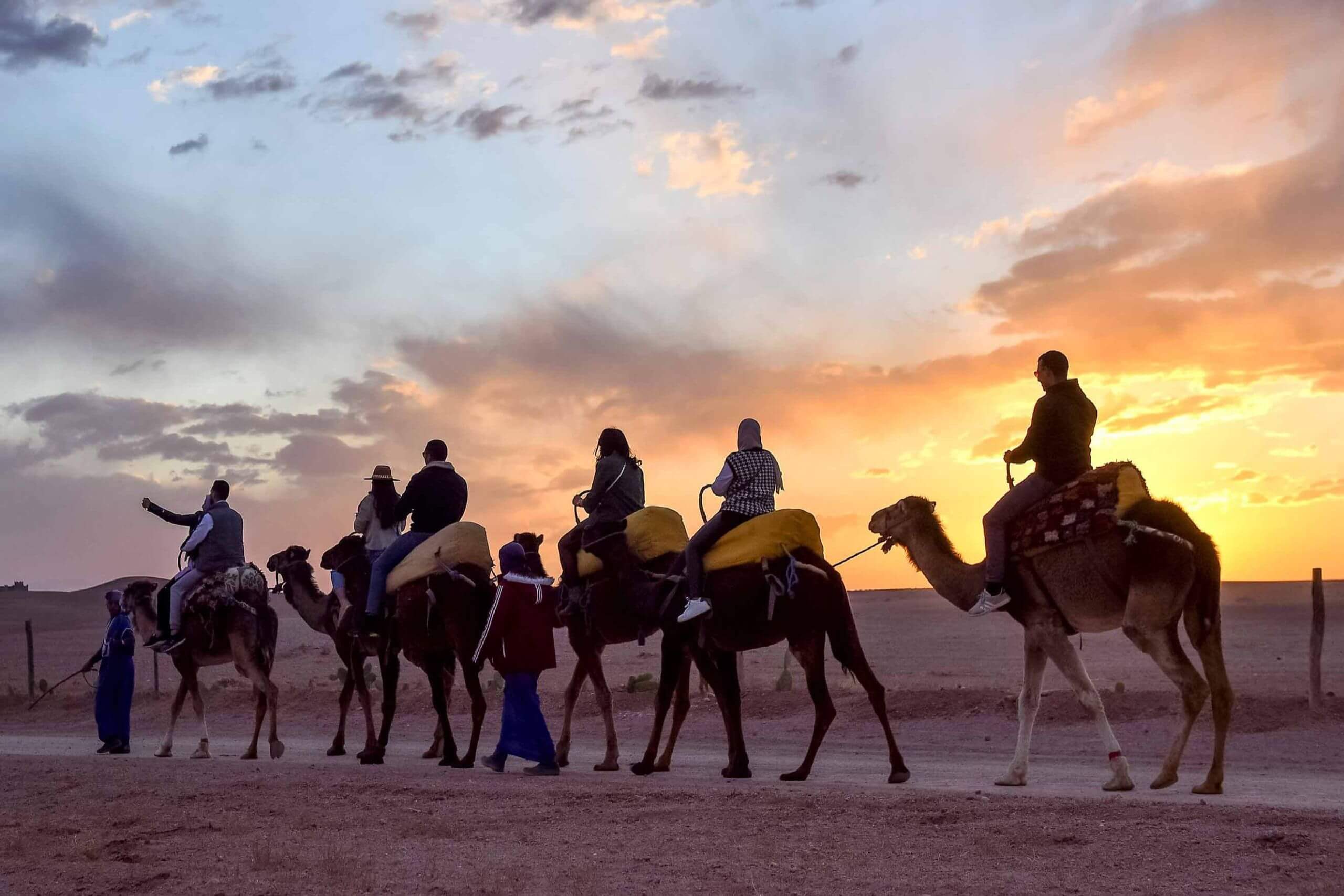 Full-Day Premium: Quad + Pool & Lunch + Sunset Camel + Dinner (Luxury Camp)