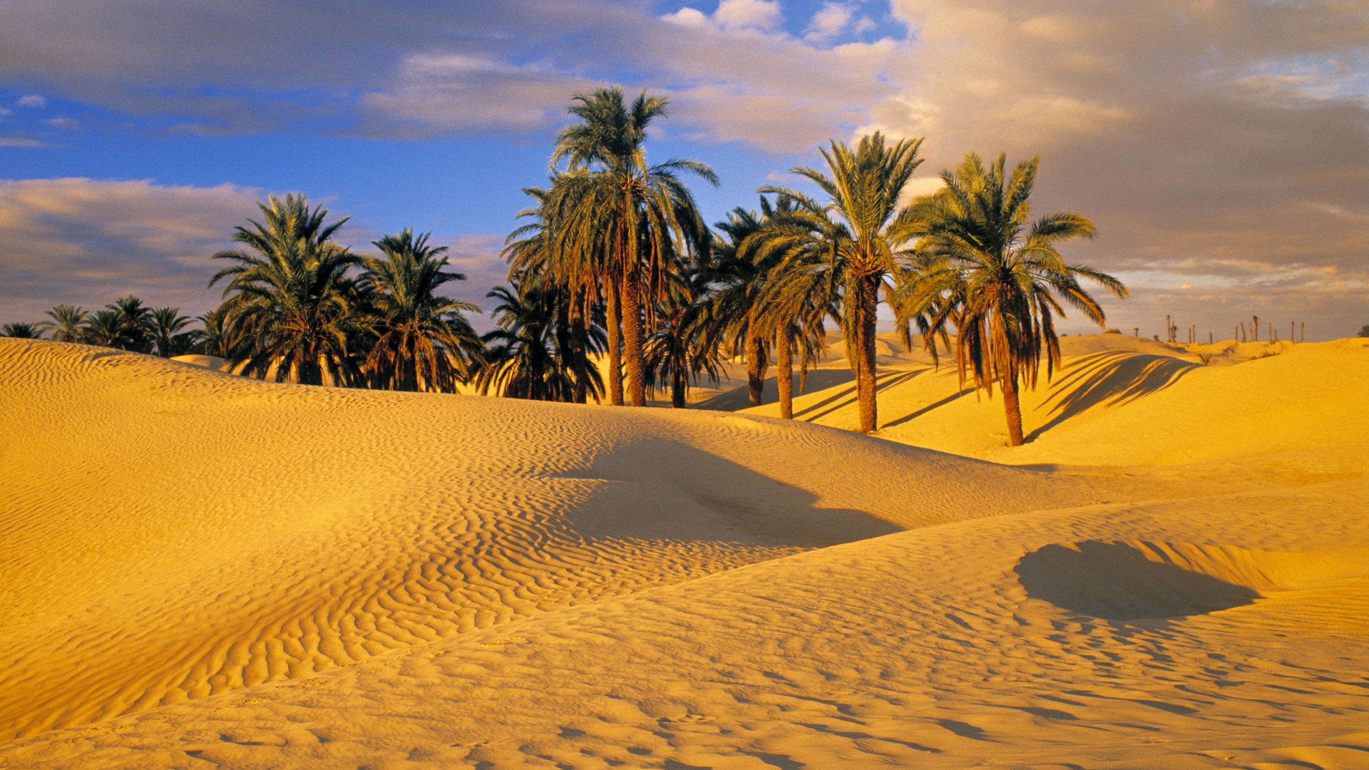 2-Day Desert Trip to Zagora from Marrakech