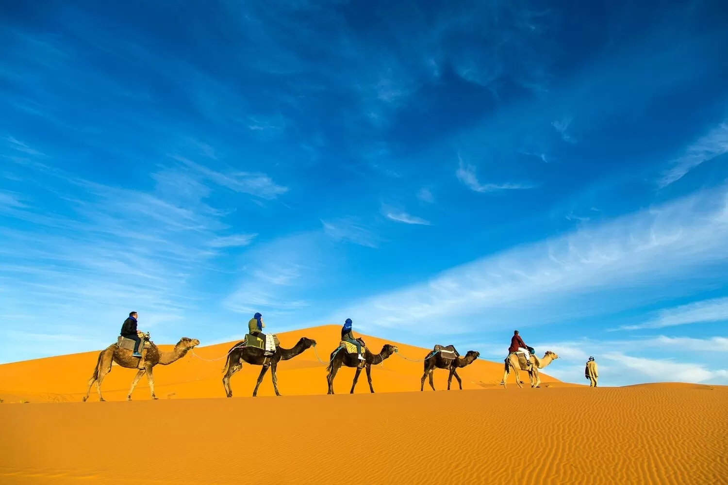 2-Day Desert Trip to Zagora from Marrakech