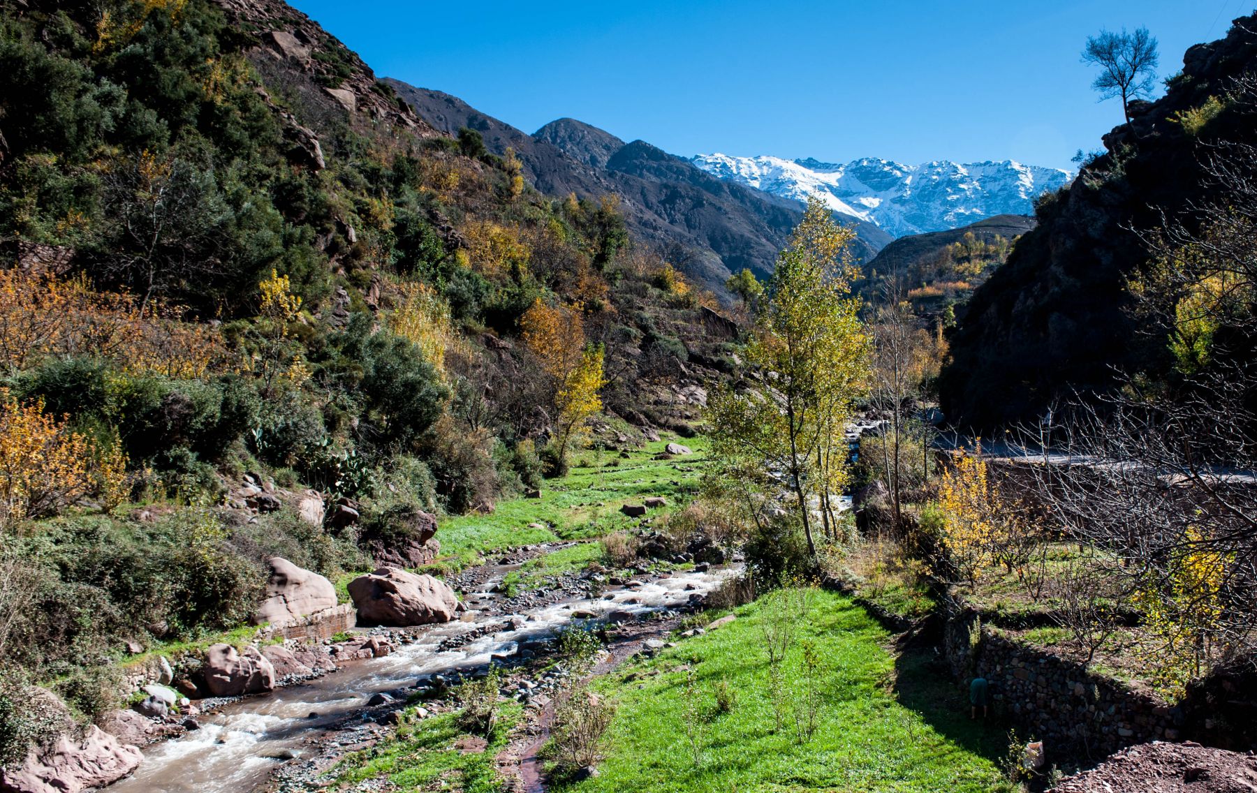 Imlil & Atlas Mountains Day Trip from Marrakech