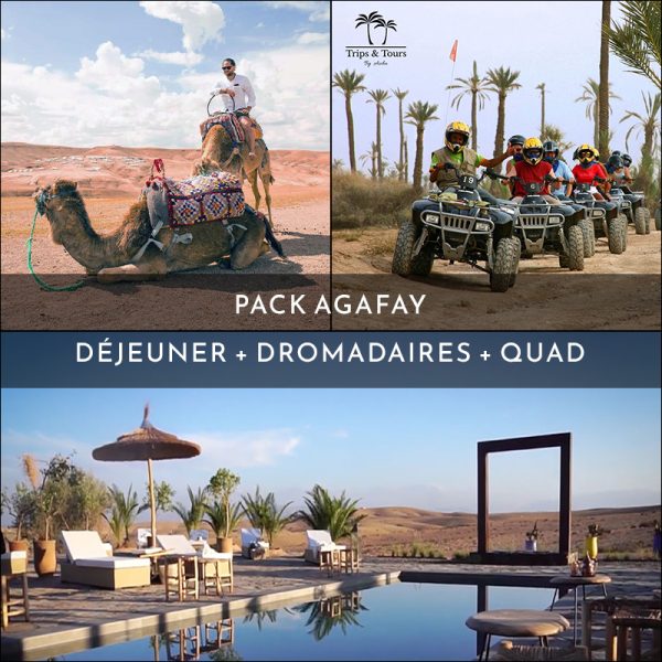 Agafay Pack 2 : Quad & Camel Ride with Traditional Lunch